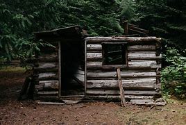 Image result for Log Shelter
