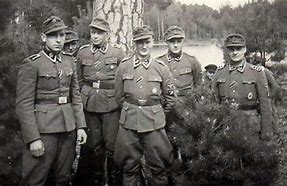Image result for Latvian Legion Uniform