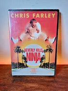 Image result for Chris Farley Ninja Movie