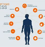 Image result for Stress Effects
