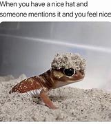 Image result for Cute Funny Lizard Memes