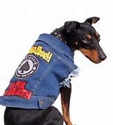 Image result for Dog Wearing Jean Jacket Hoodie