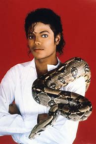 Image result for Michael Jackson 1987