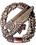 Image result for Fallschirmjager Symbol