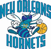 Image result for Hornets Team