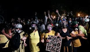 Image result for Portland Protest Wall