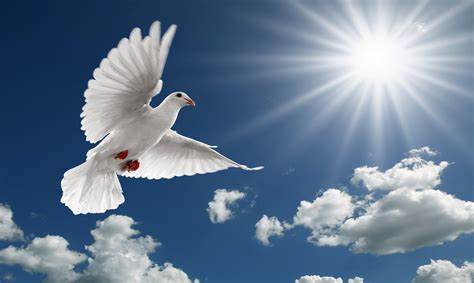 The Holy Spirit in the form of a dove