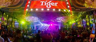 Image result for Tiger Beer Chinese New Year