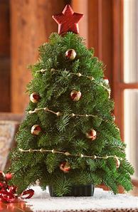 Image result for Costco Christmas Tree Decorations