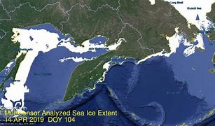Image result for Arctic Ice Chest Coolers