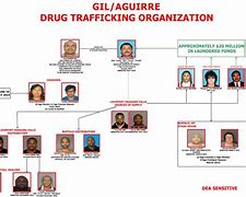 Image result for Organized Crime Organizational Chart