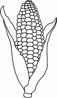 Image result for Corn Outline Black and White