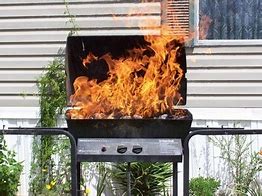 Image result for Propane Barbecue Grills