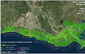 Image result for Louisiana Gulf Coast
