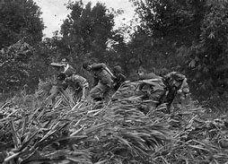 Image result for Vietnam War Photos Graphic