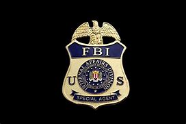 Image result for FBI Badge Color