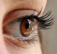Image result for Healthy Eyes