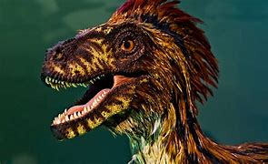 Image result for Feathered Dinosaurs Documentary
