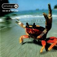 Image result for Prodigy Album Cover