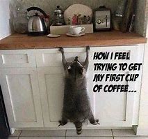 Image result for Free Coffee Funny