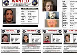 Image result for NYC Police Wanted Poster