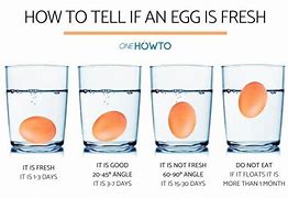 Image result for How Can You Tell If an Egg Is Fresh