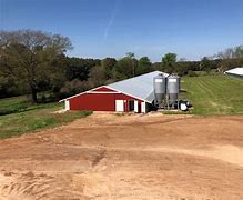 Image result for Poultry Farms Near Me