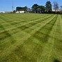 Image result for Free Lawn Mowing Stock Photos