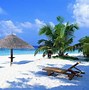 Image result for Tropical Beach Scenes with Palm Trees