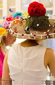 Image result for Funny Kentucky Derby Hats