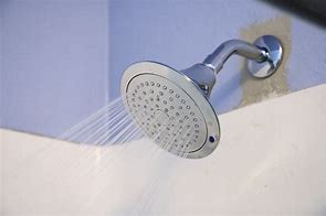Image result for Grohe Dual Shower Head