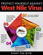 Image result for West Nile virus New York City