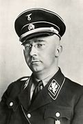 Image result for Heinrich Himmler Collour