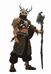 Image result for Human Male Druid