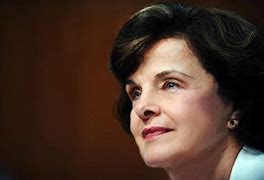 Image result for Dianne Feinstein Chinese Chauffeur