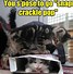 Image result for Funny Cat Lolcat