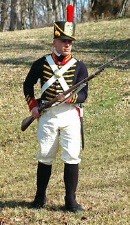 Image result for American Military Uniforms 1812