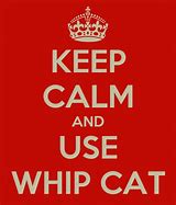 Image result for Like Keep Calm and Whip