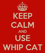 Image result for Keep Calm and Whip Your Hai