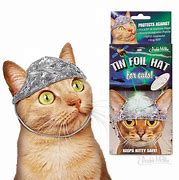 Image result for Cat Tin Foil Hat Meme