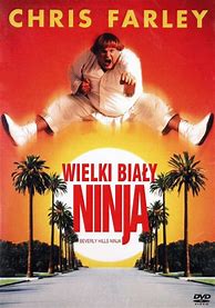 Image result for Beverly Hills Ninja Chris Rock