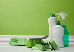 Image result for Green Cleaning Supplies