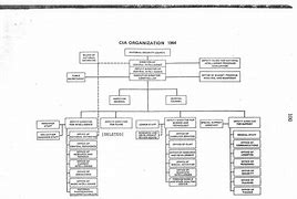 Image result for CIA Organizational Chart