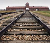 Image result for Auschwitz Color
