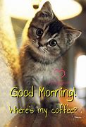 Image result for Good Morning Funny Cat Quotes
