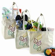 Image result for Shopping Bags for Groceries