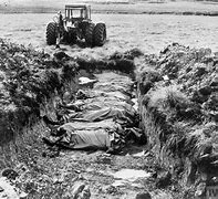 Image result for Falklands War Deaths