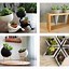 Image result for Cool Plant Pots