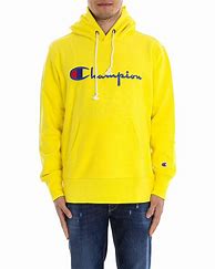 Image result for Champion Sweater