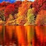 Image result for Autumn XP Wallpaper